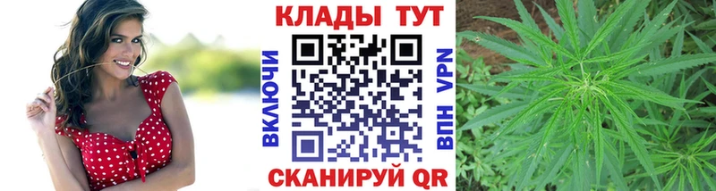 Как найти наркотики Беломорск Канабис  A PVP  Бутират  Меф мяу мяу 