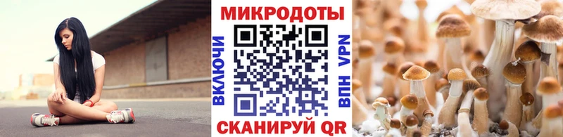 Галлюциногенные грибы прущие грибы  магазин  наркотиков  МЕГА ТОР  Беломорск 